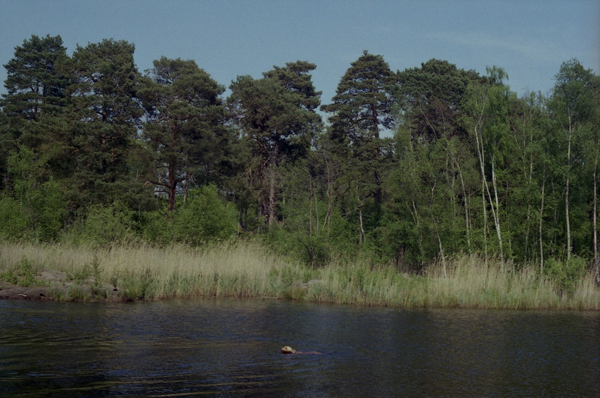  Black Pond, 2012 