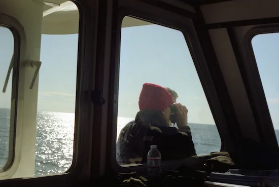 Provincetown, 2014