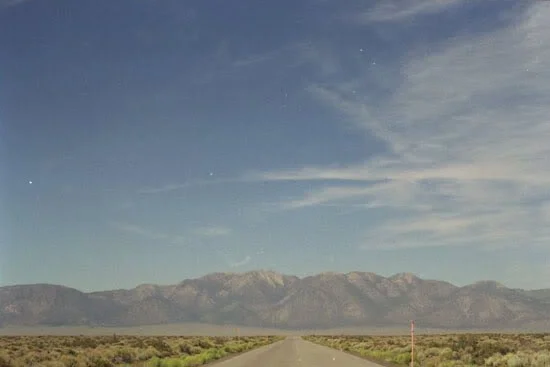 Search, 2009