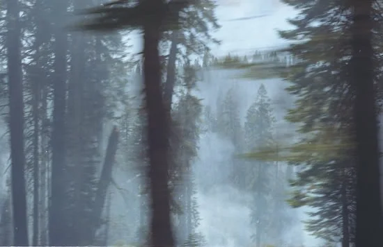 Fire, 2009