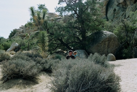  Joshua Tree,&nbsp;2013 