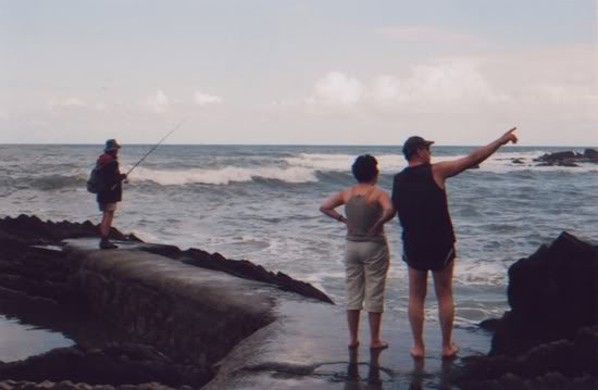  Basque, 2010 