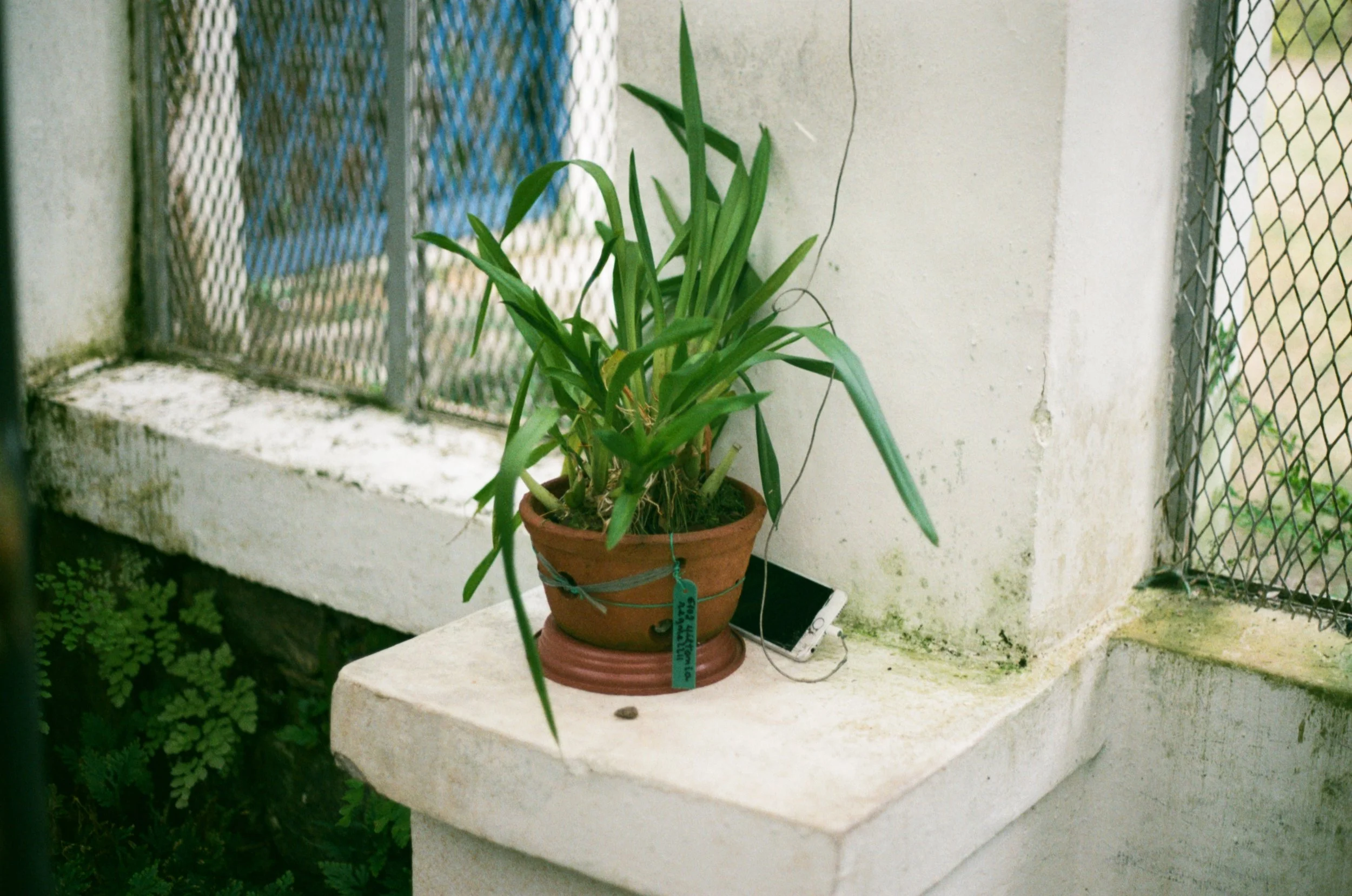 Rio, 2018