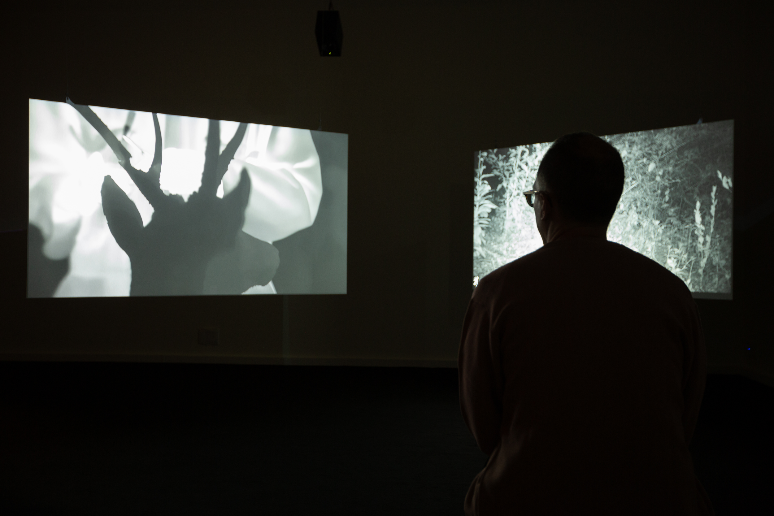 EXTRAMISSION — JESSICA SARAH RINLAND