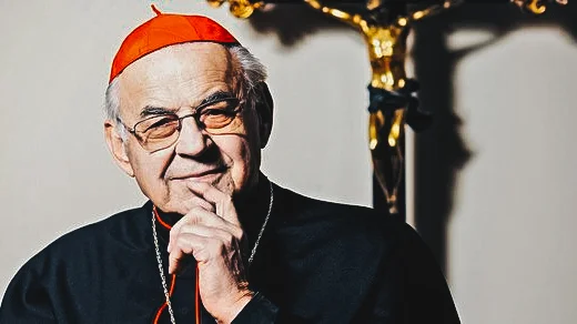 14. Kardinal VIk.jpg