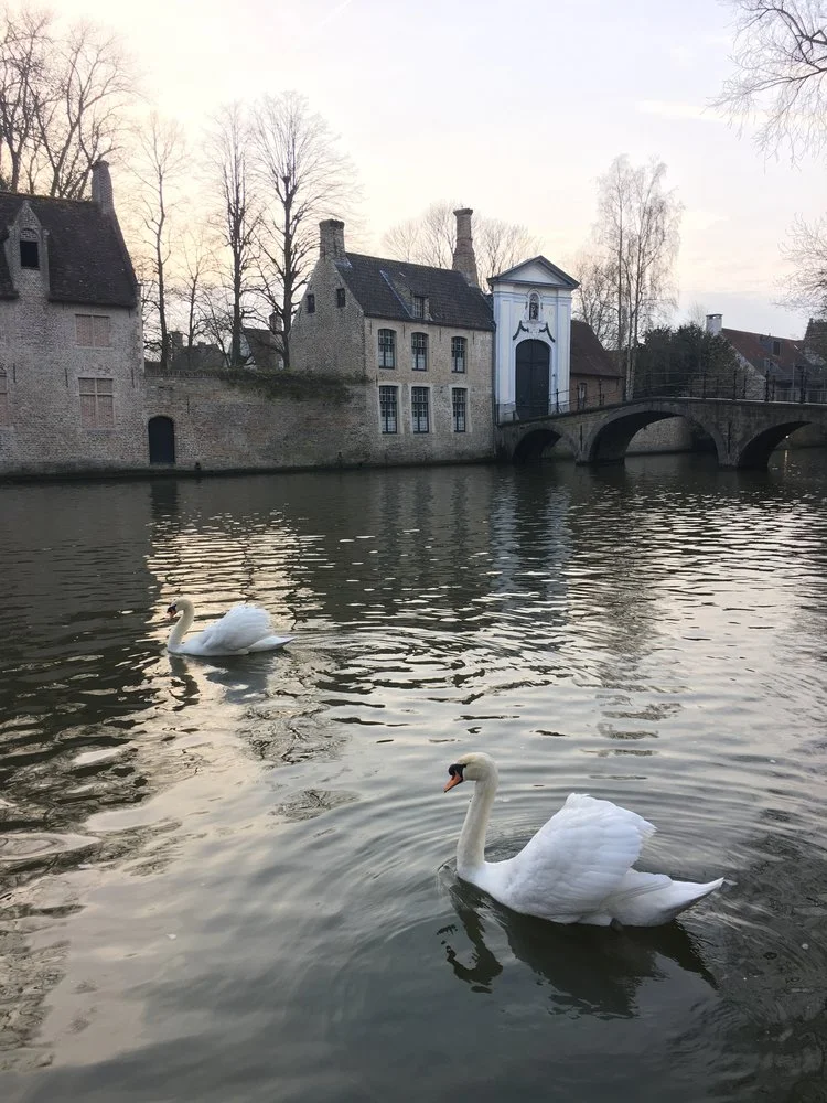 Brussels and Beyond