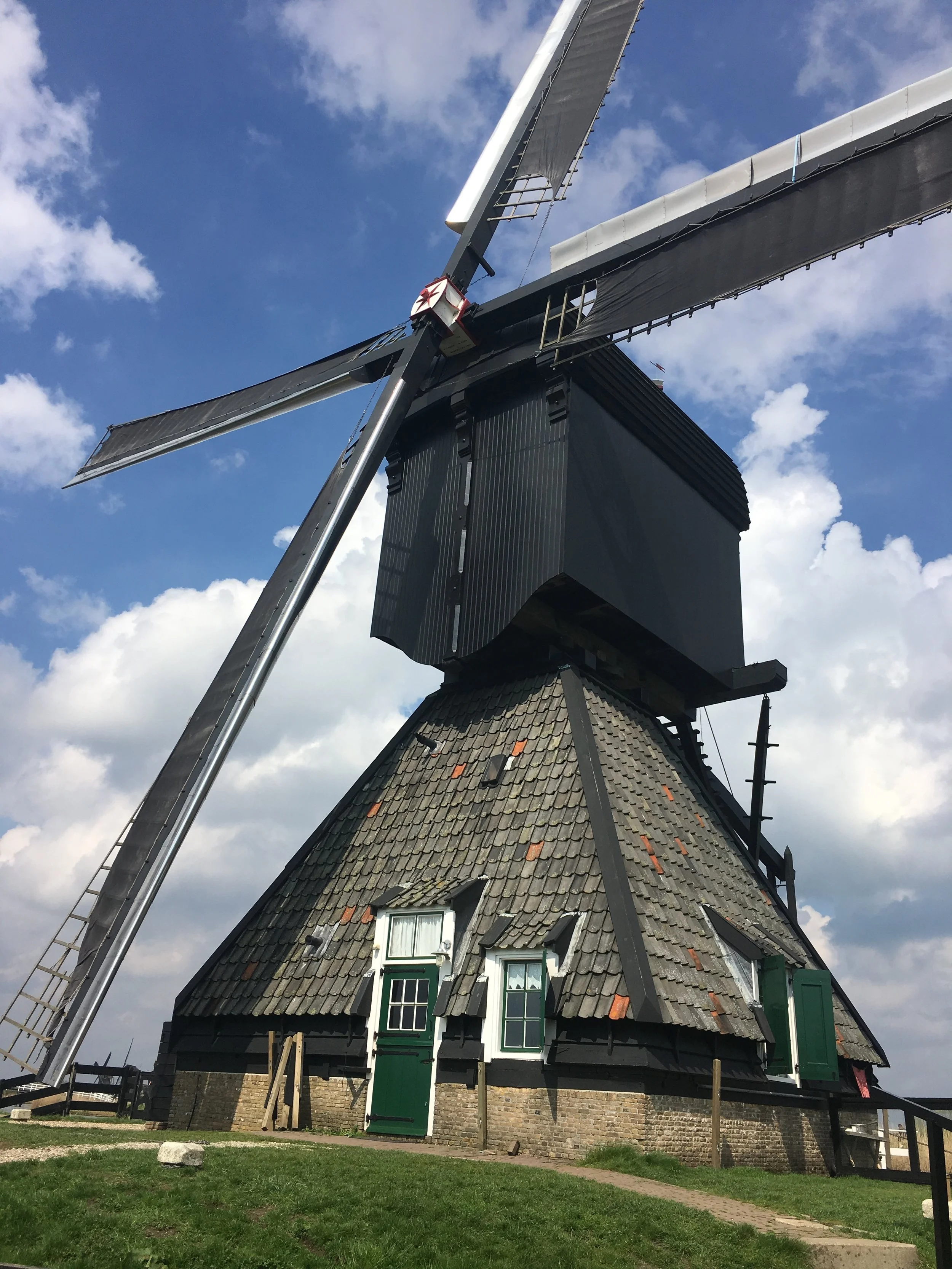 Windmills, Bikes and Tulips