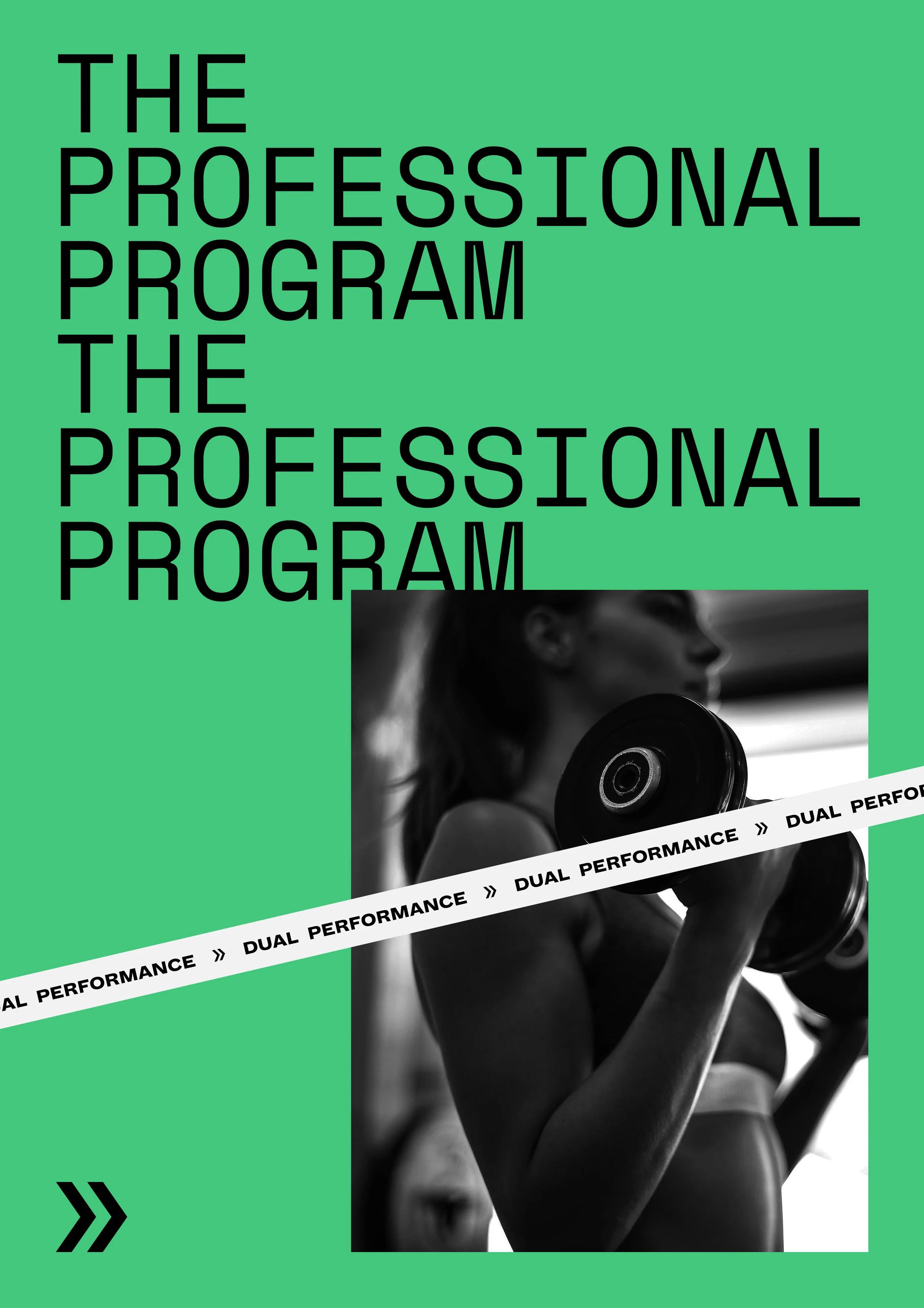 DP_The Professional Program_Cover_1.jpg