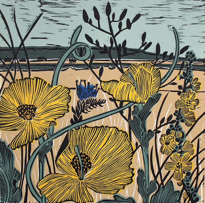 HEI0096_YellowHornedPoppies_web719.jpg