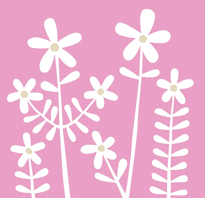 KEN0016_E_DaisyNEW_719px.jpg