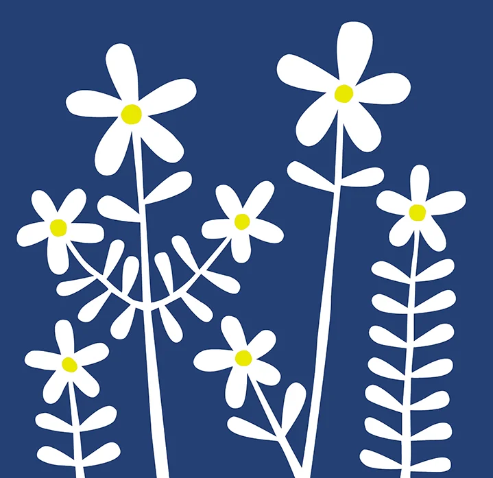 KEN0016_F_DaisyNEW_719px.jpg