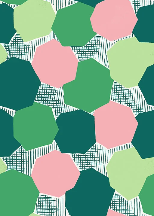 FLD0024_Pattern_VALMIER_Green_Pink_719pix.jpg