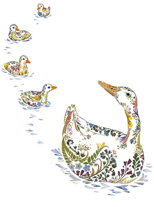 HelenAhpornsiri_Ayearinthwild_ducks_719pix.jpg