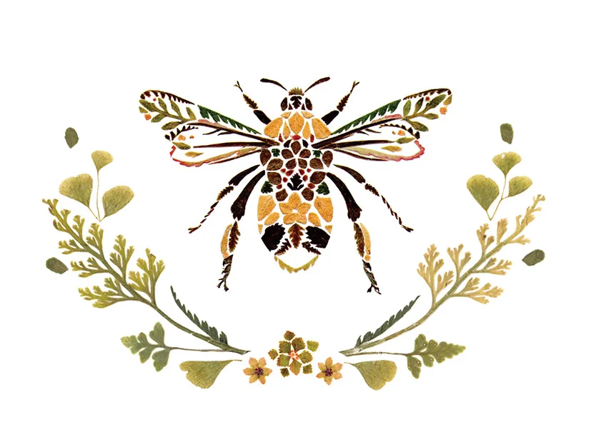 HelenAhpornsiri_BumbleBee_719pix.jpg