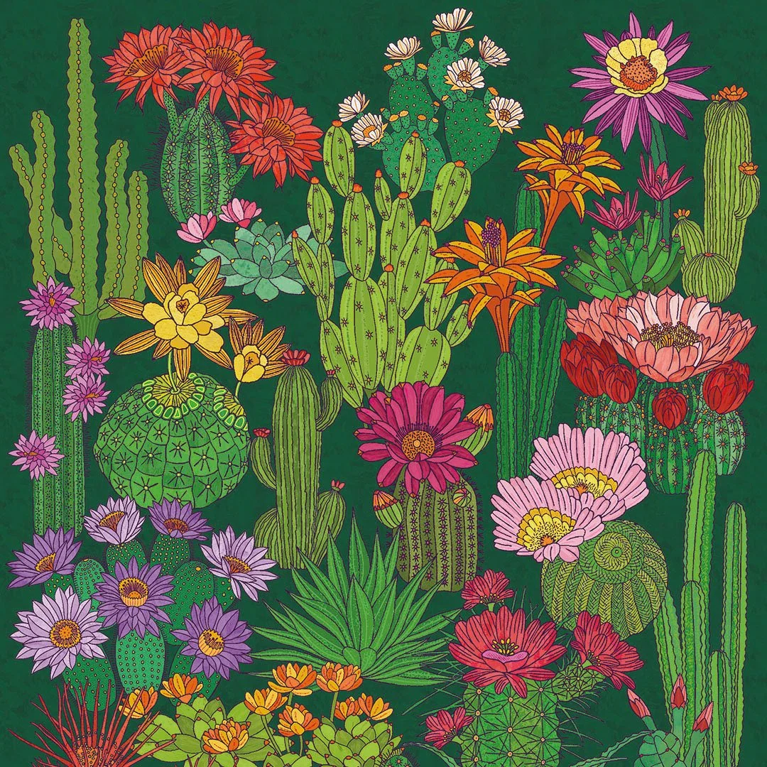 PED0097_E_Cactus_1080pixel.jpg