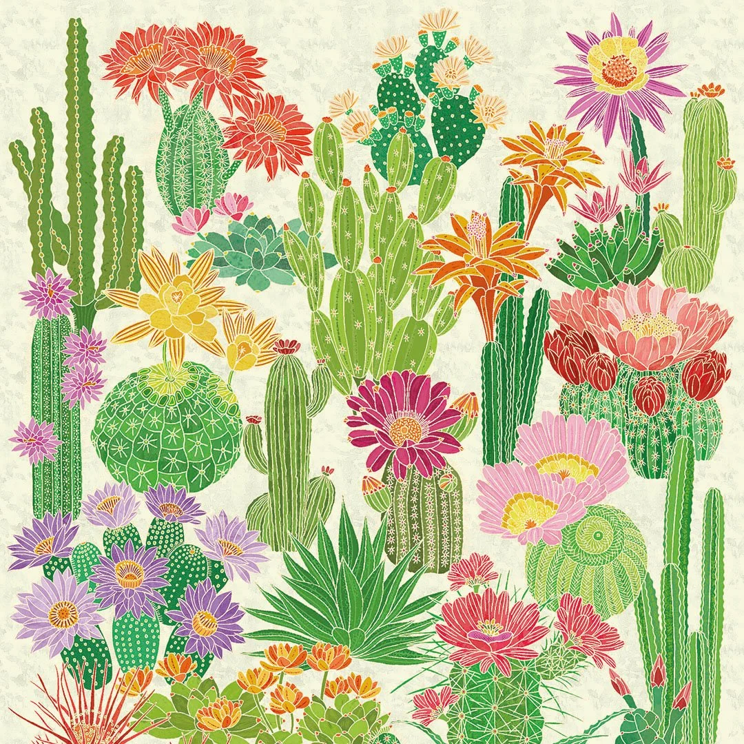 PED0097_H_Cactus_1080pixel.jpg
