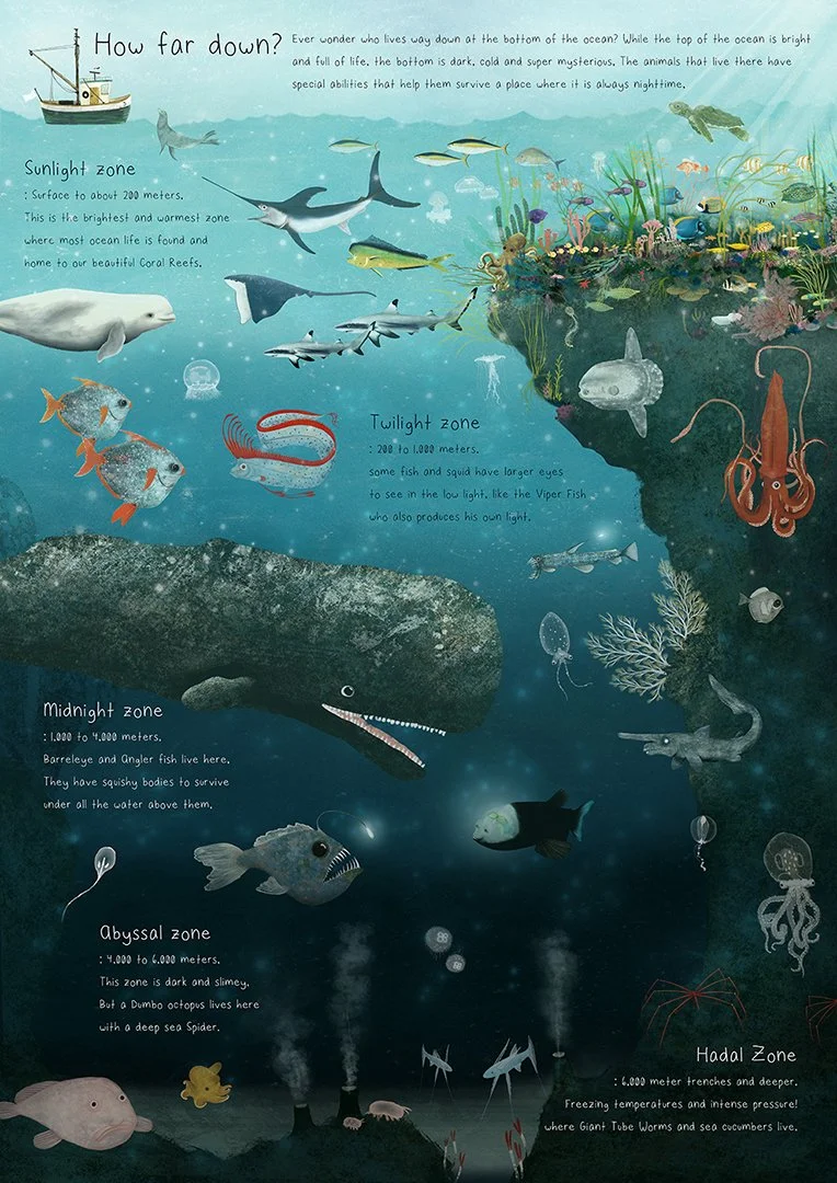 QUN1051_Whales-1080.jpg