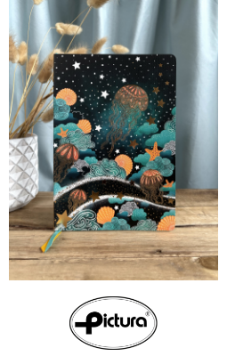 Pictura France – 1.png