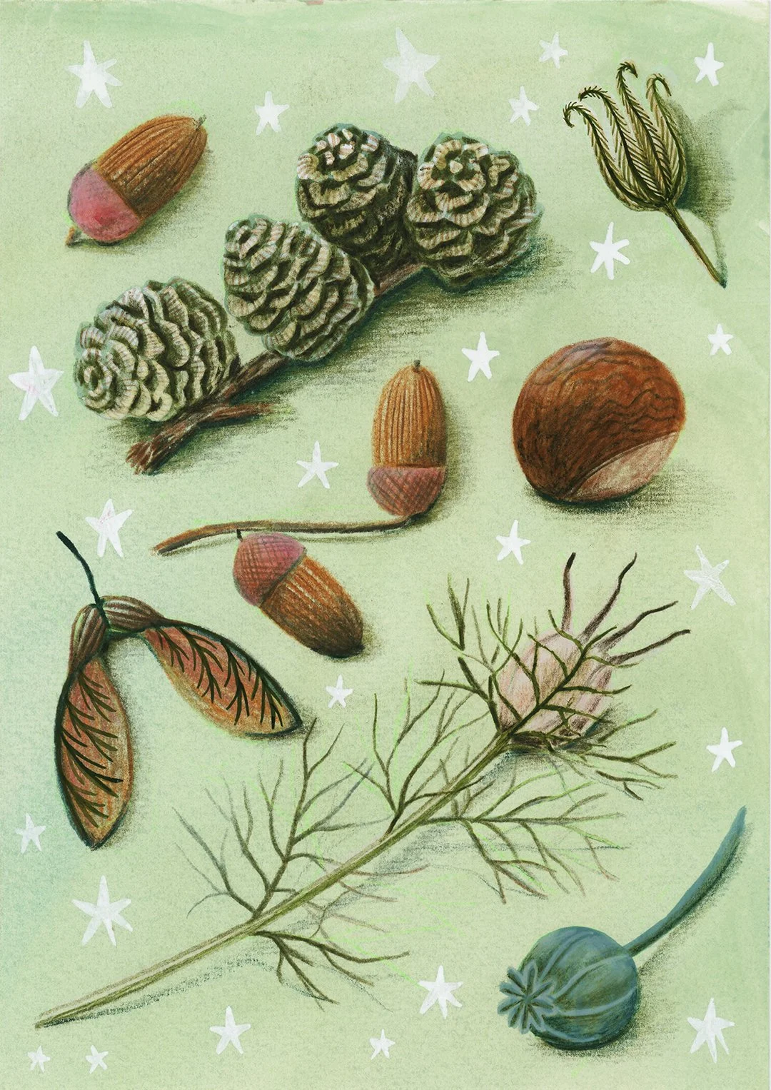 FOS0664_Day 87 - Nature Things Collection_1080px.jpg