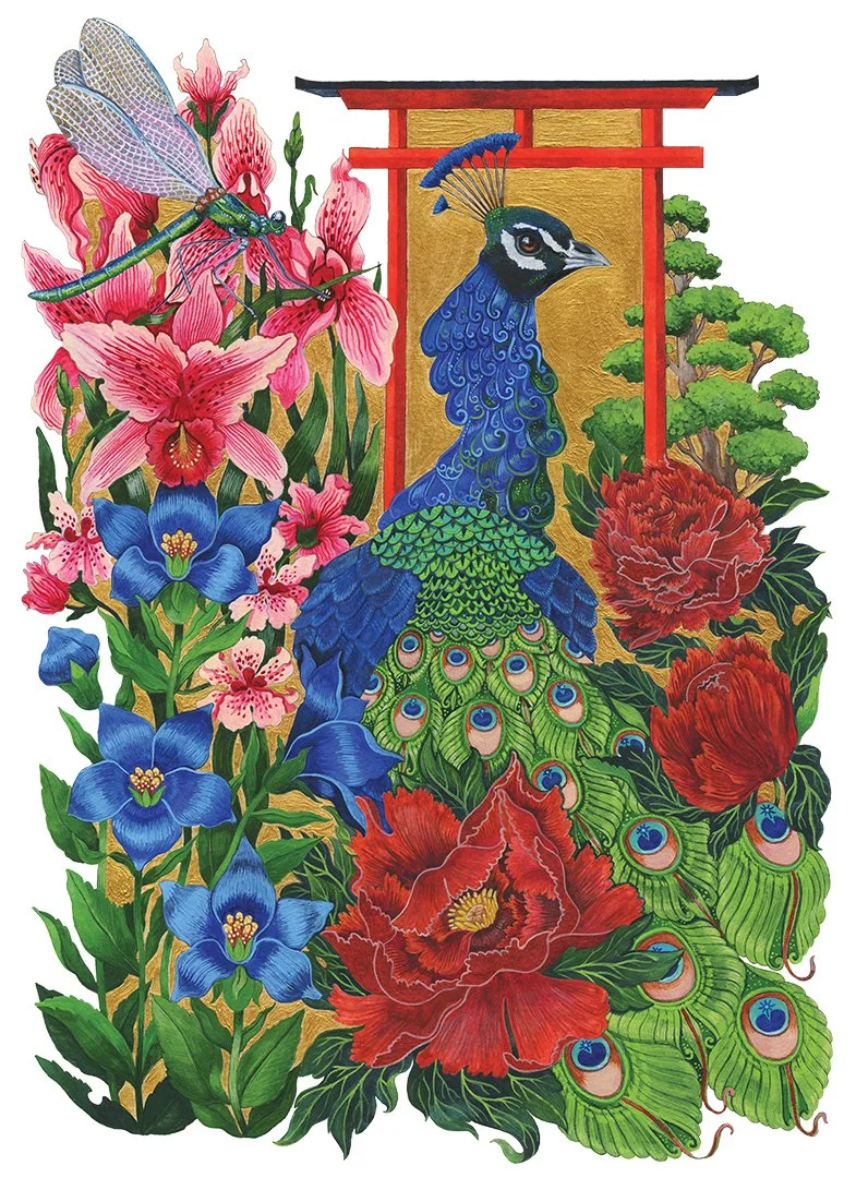 MAT0130_Peacock (1080).jpg