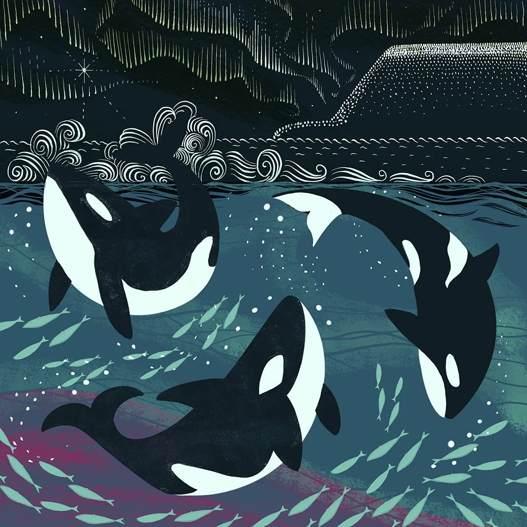 JehaneLtd_MandyTait_Creatures of the north_1080.jpg
