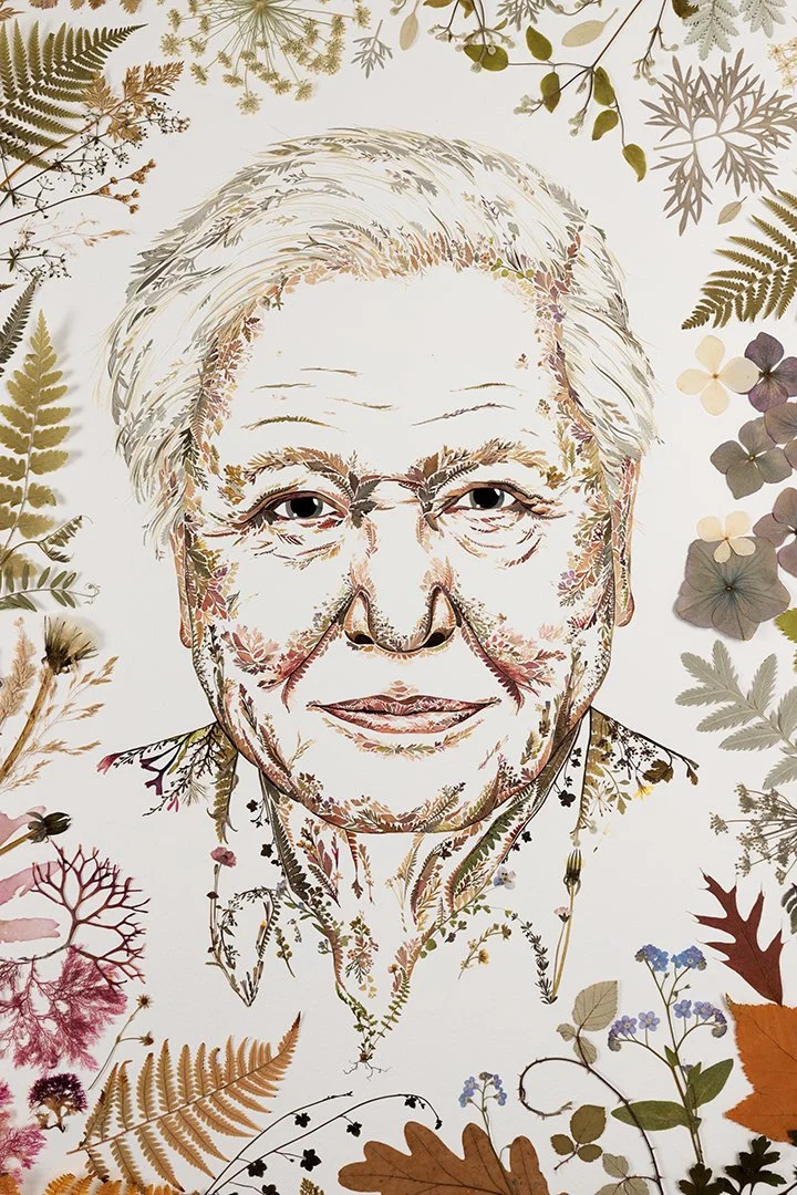  Sir David Attenborough at 100