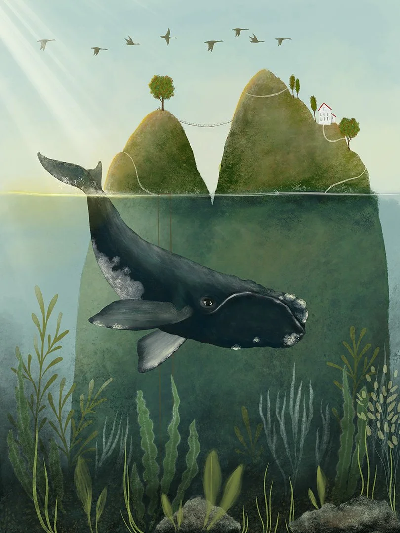 QUN1064_Right-Whale_1080.jpg