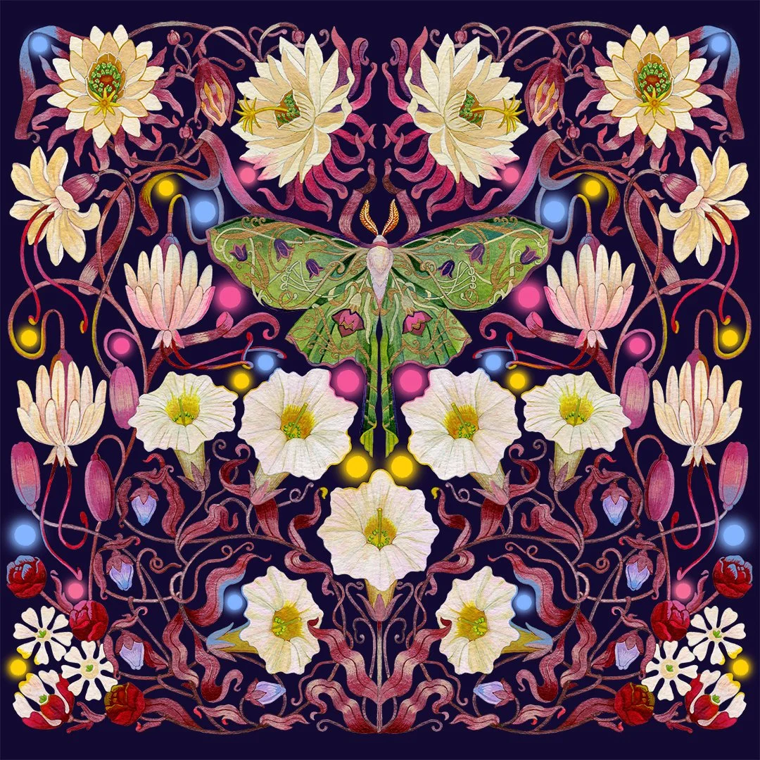 MAT0156-A_MagneticMoth (1080).jpg