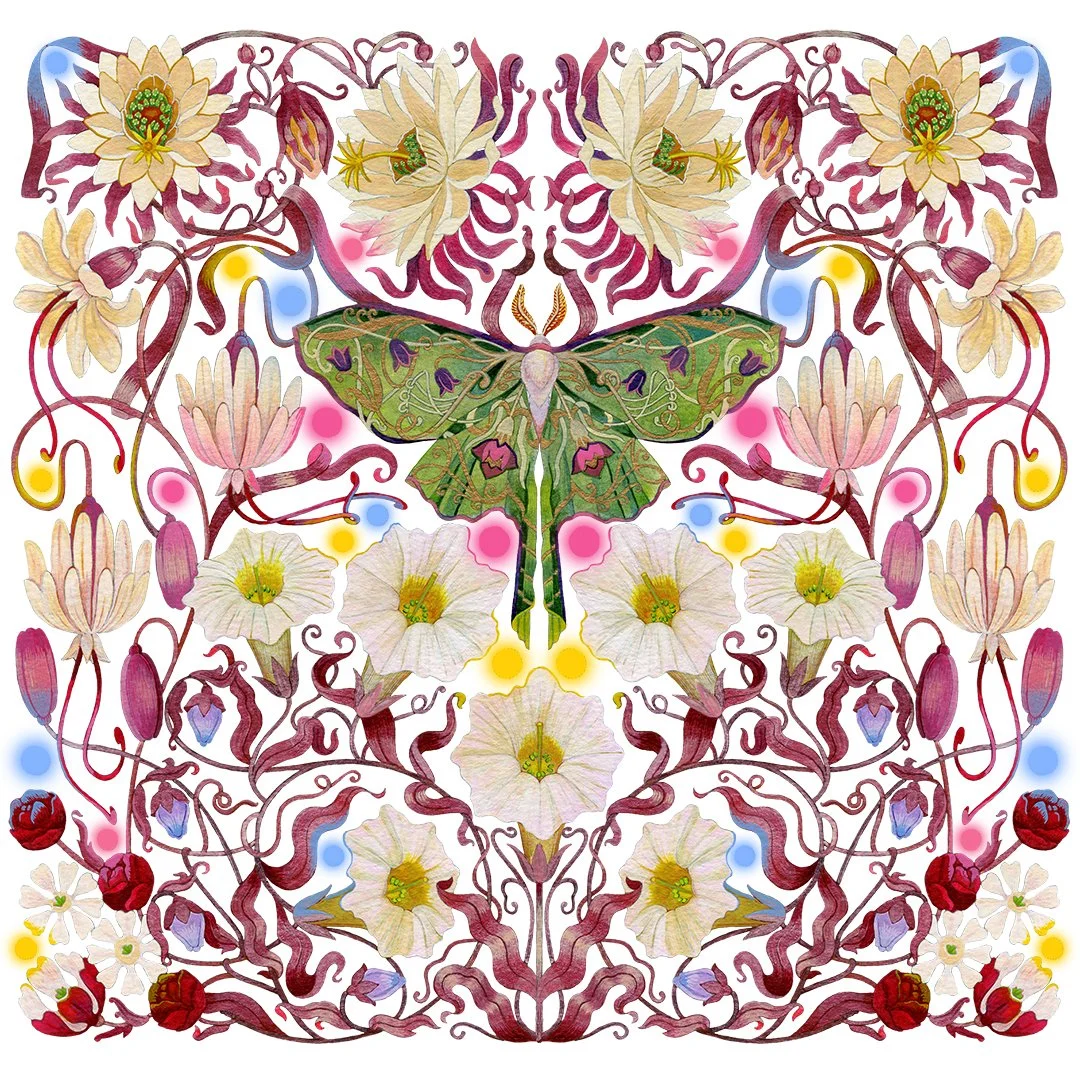 MAT0156-B_MagneticMoth (1080).jpg