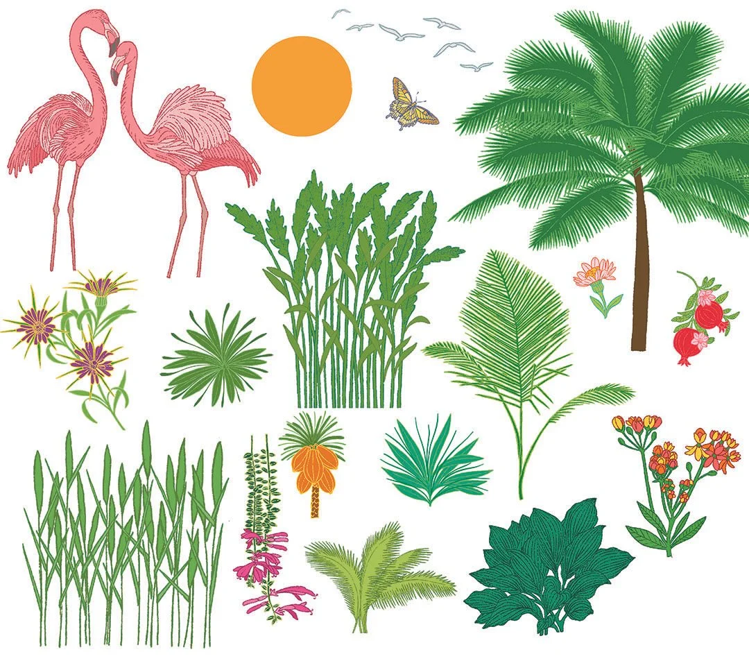 PED0102_Flamingo_C_1080pixel.jpg