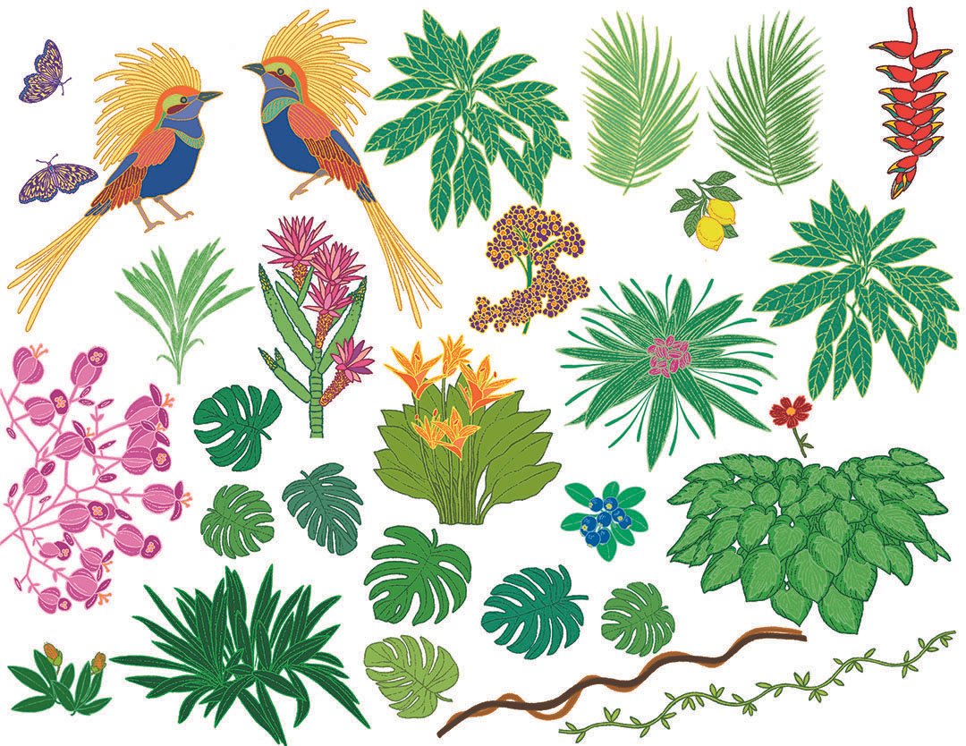 PED0104_Paradise_C_1080pixel.jpg