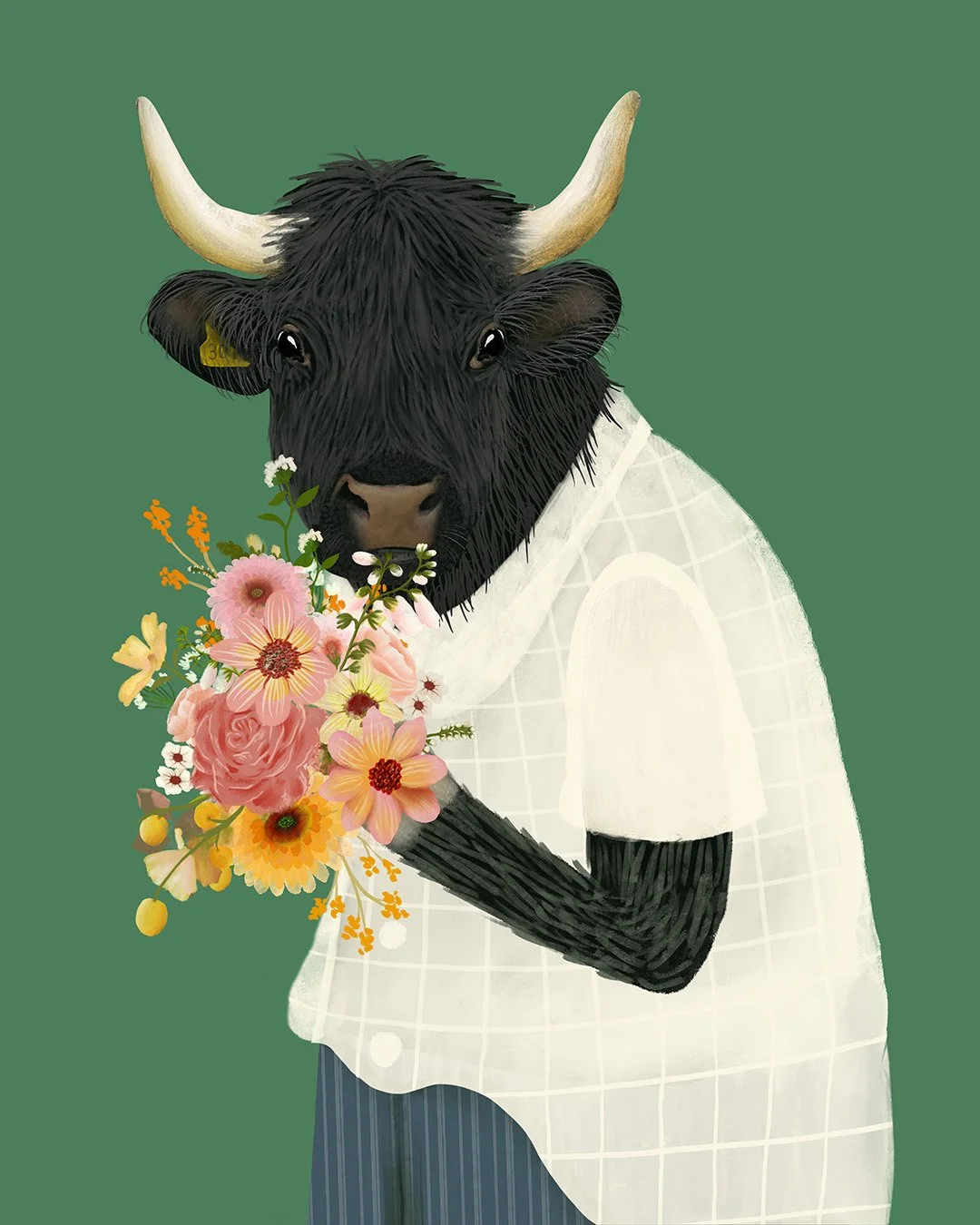 QUN1136_cow_1080.jpg
