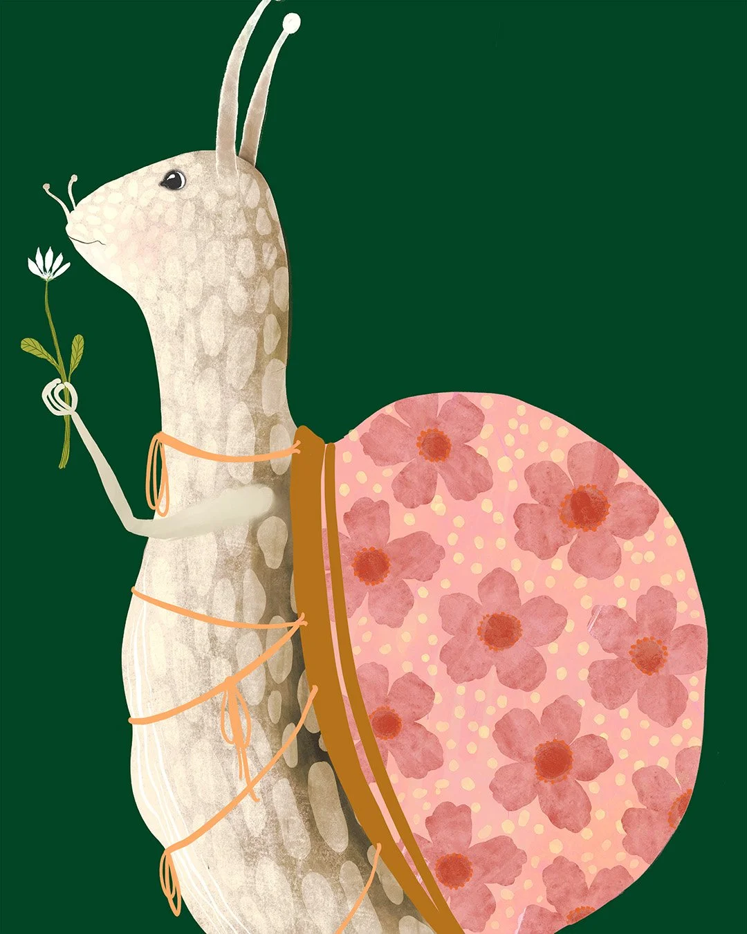 QUN1135_Snail-close_1080.jpg