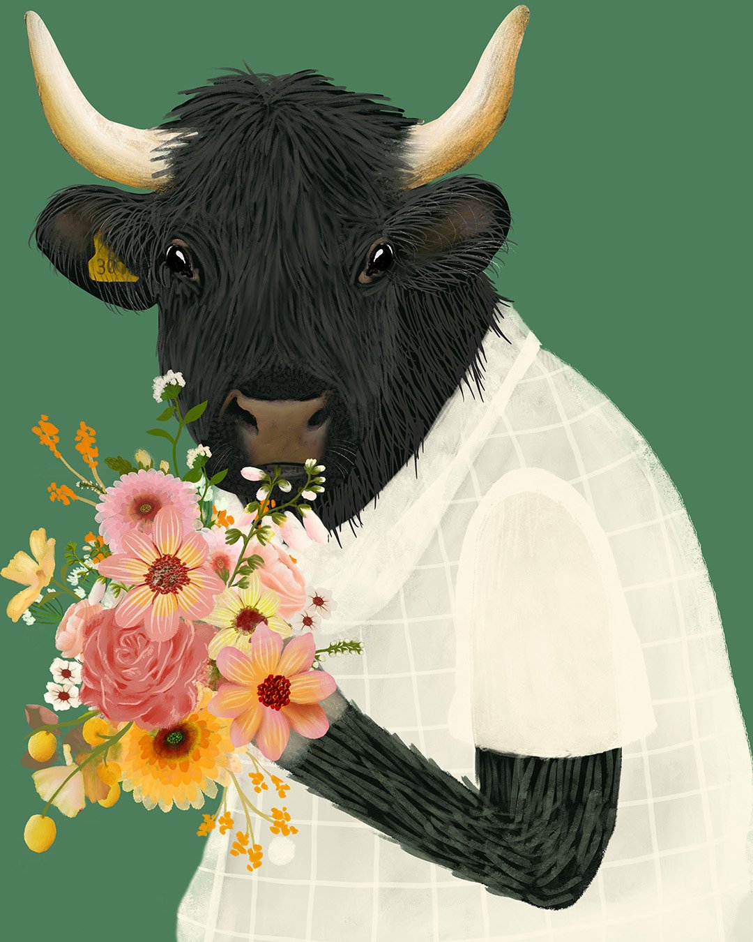 QUN1136_cow-close_1080.jpg