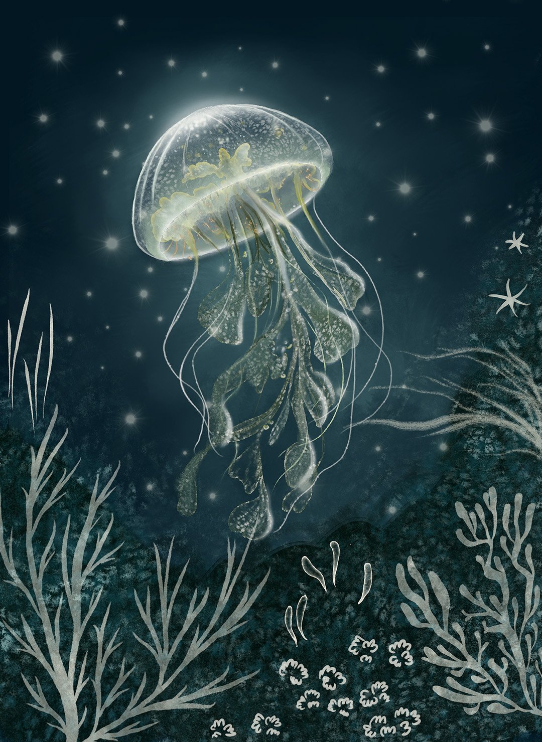 QUN1142_Jellyfish-1_1080.jpg