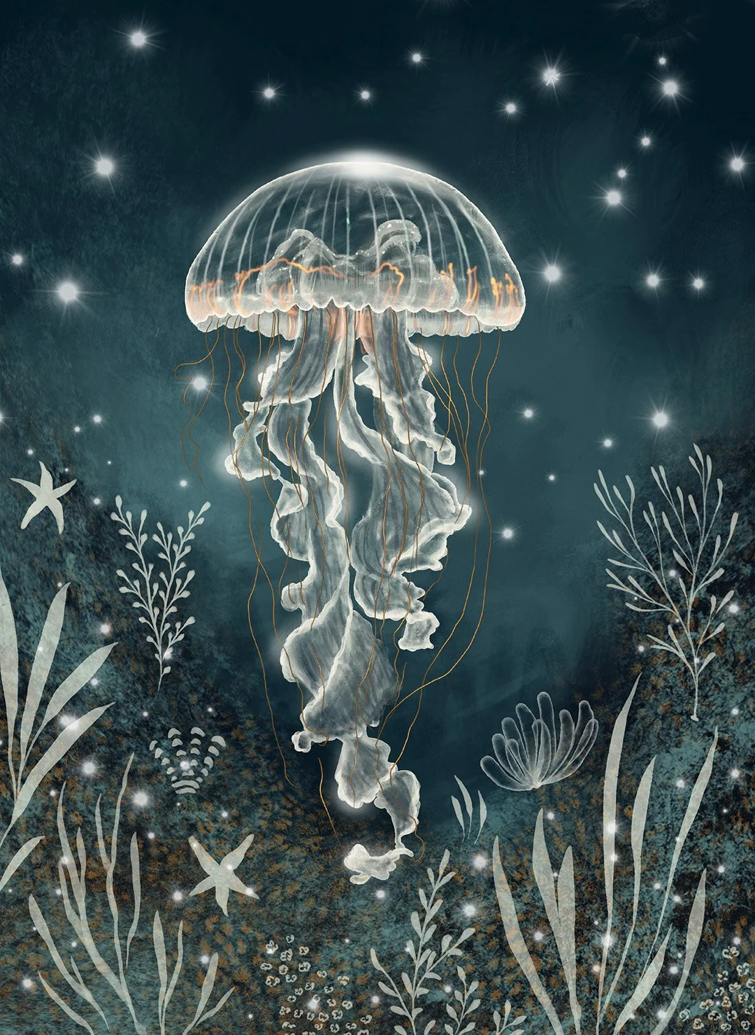 QUN1143_Jellyfish-2_1080.jpg