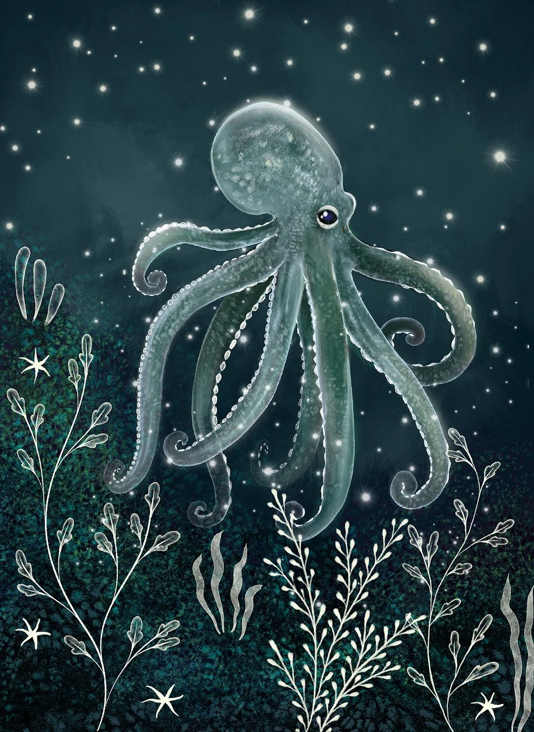 QUN1144_Octopus-1_1080.jpg