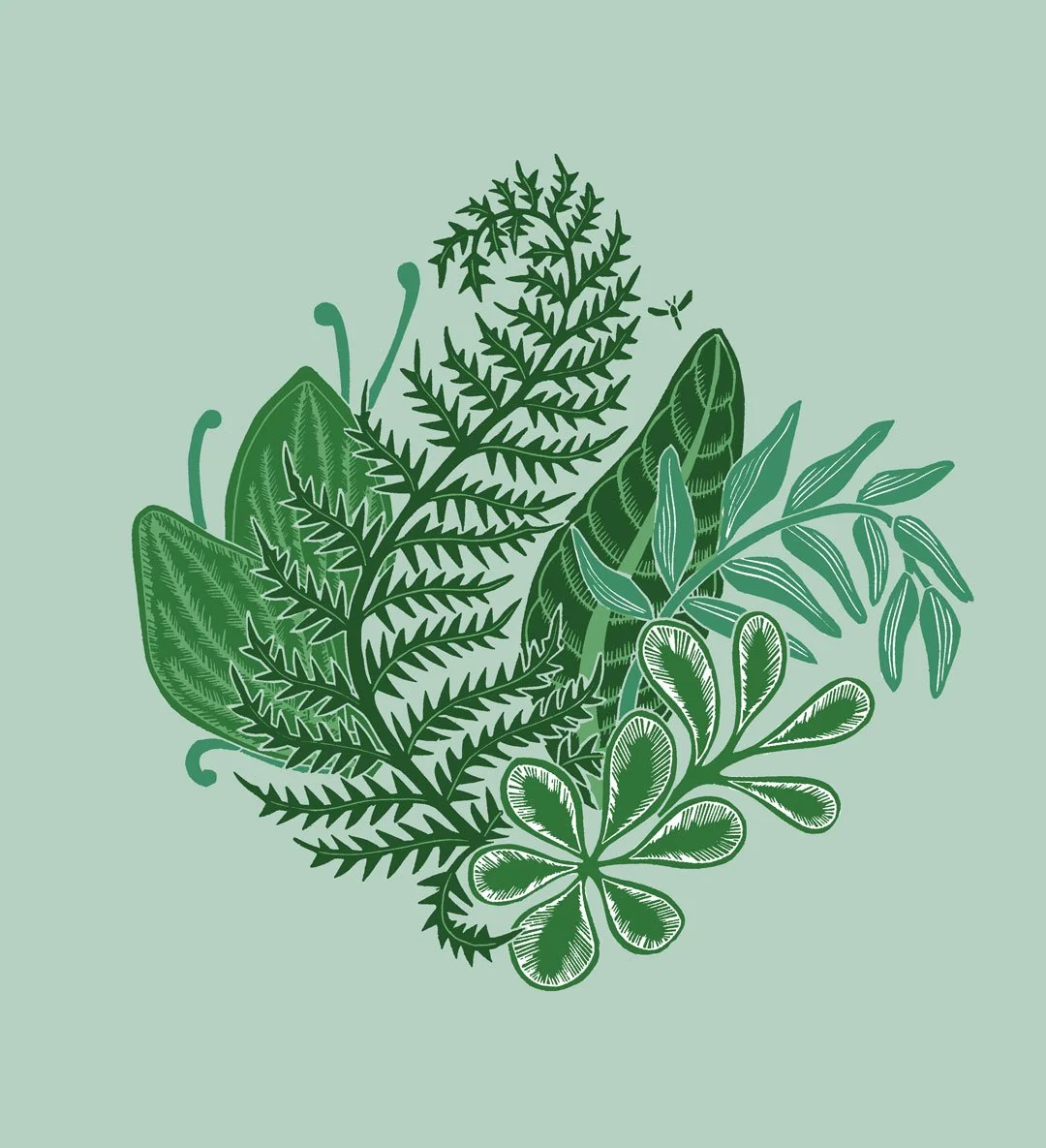 HEI0546-G_Ferns_1080pix.jpg