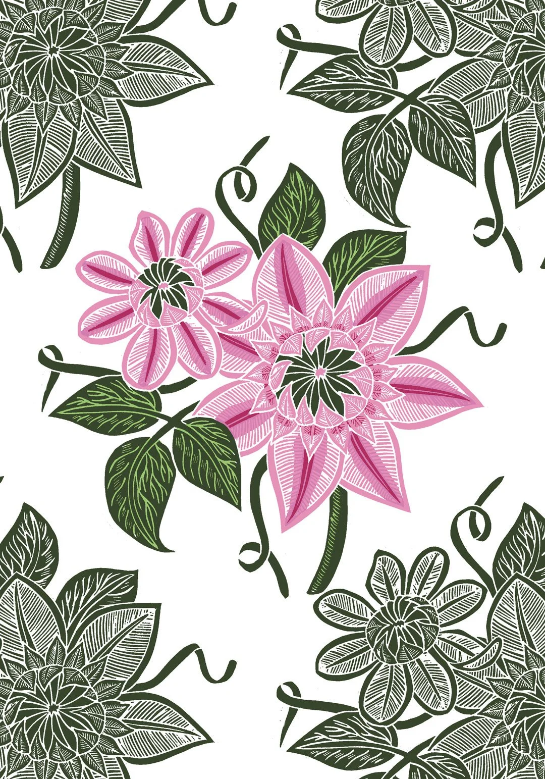 HEI0555-D-Clematis_1080pix.jpg