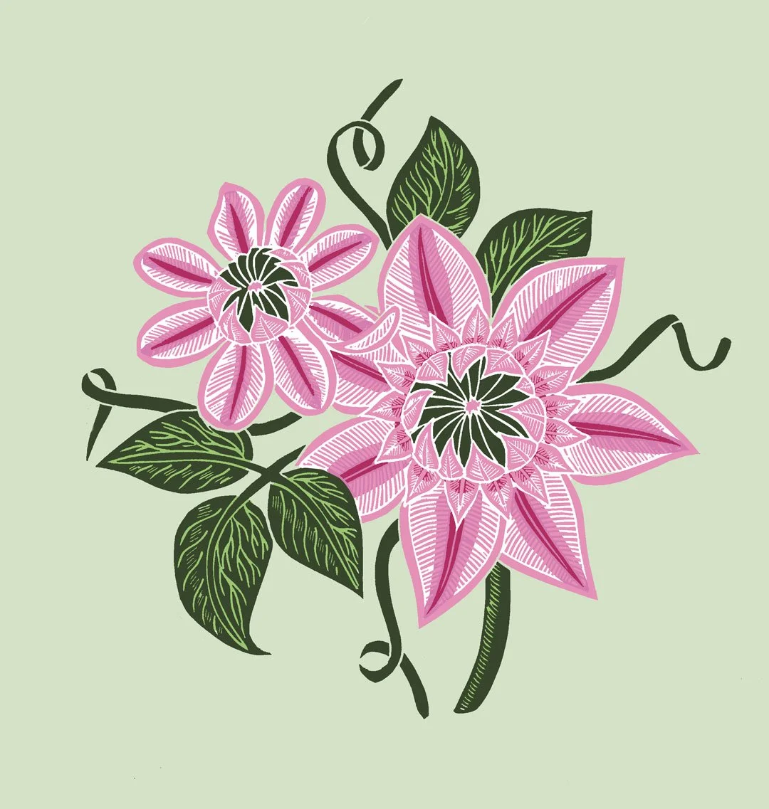 HEI0555-G-Clematis_1080pix.jpg