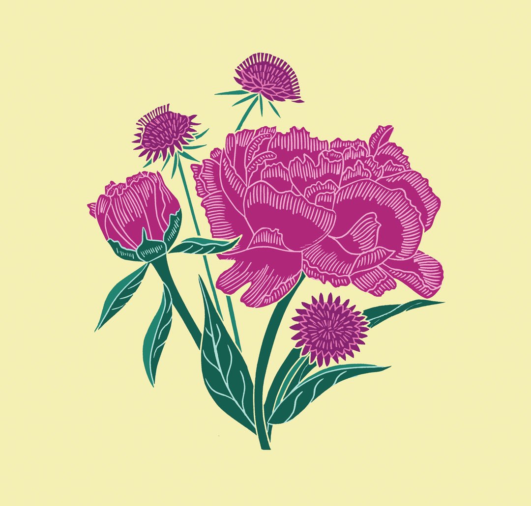HEI0556-G_Peony_1080pix.jpg