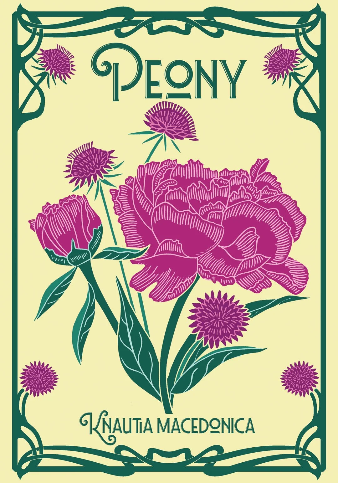 HEI0556-L_Peony_1080pix.jpg