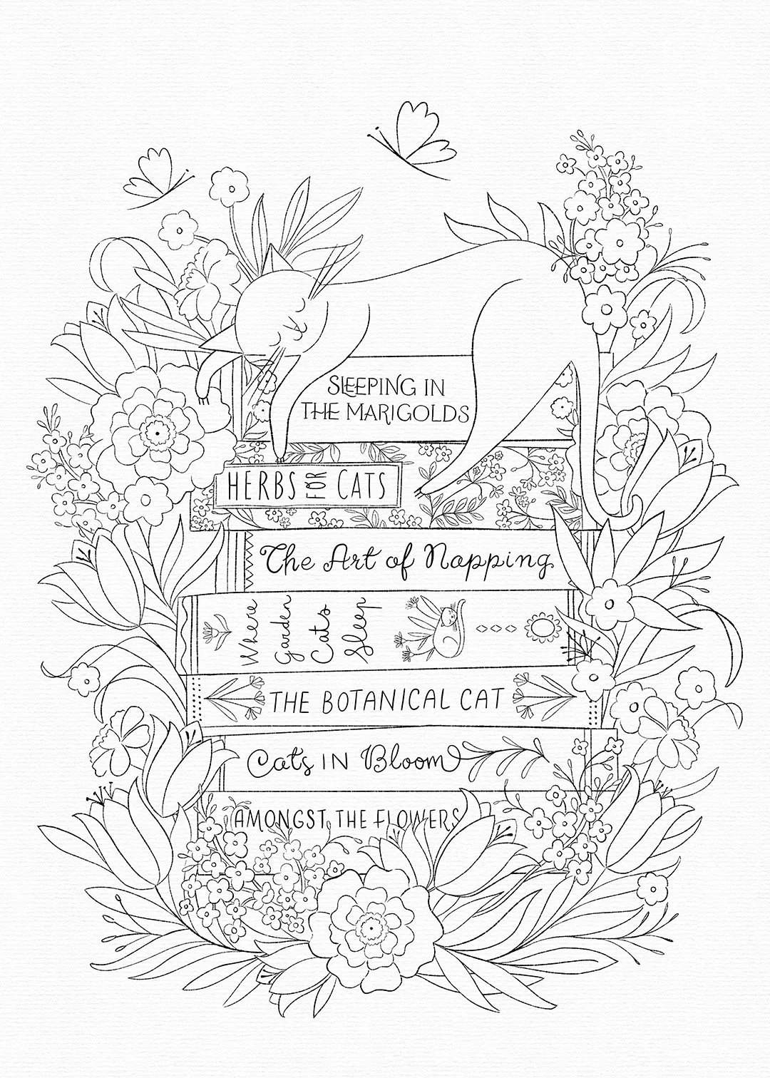 BRK0352_F_FloraAndFauna_AmongstTheBooks_Drawing_1080pix.jpg
