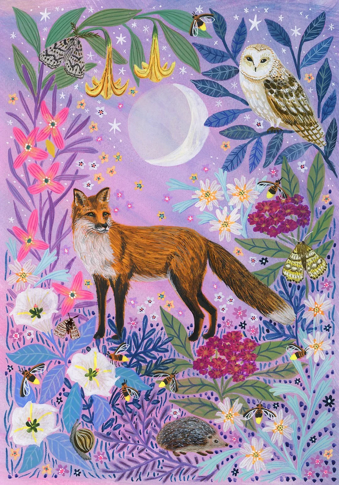 FOS0735_Night Time Flora and Fauna_1080px.jpg