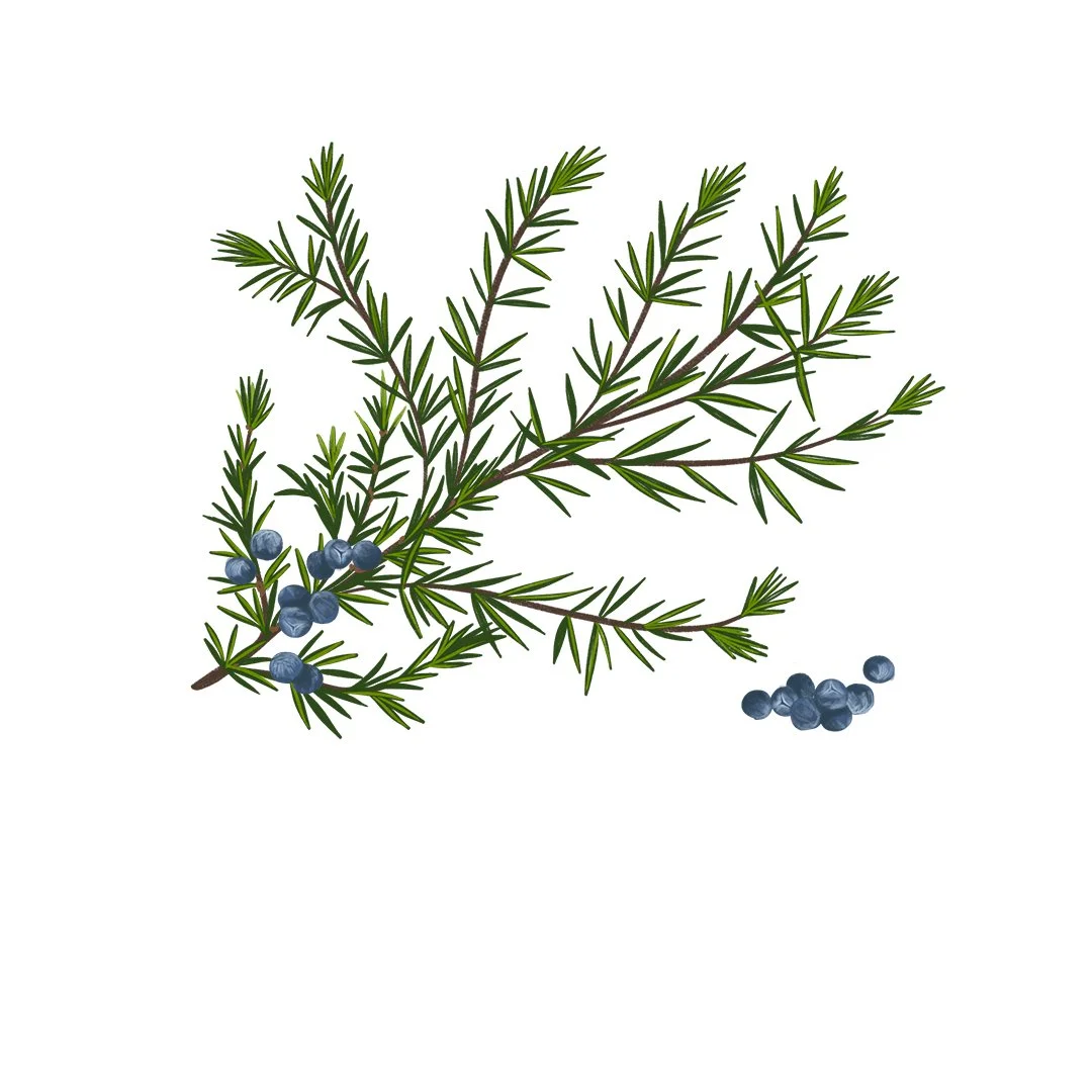 STE0618_KW27_Juniper_1080.jpg