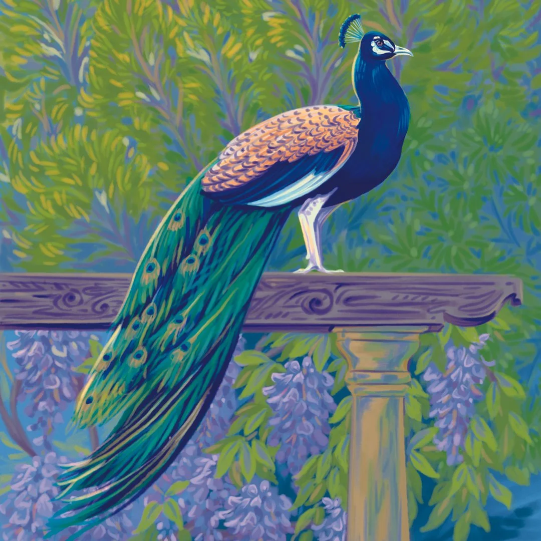 PNZ0519_SpringPeacock_1080pix.jpg