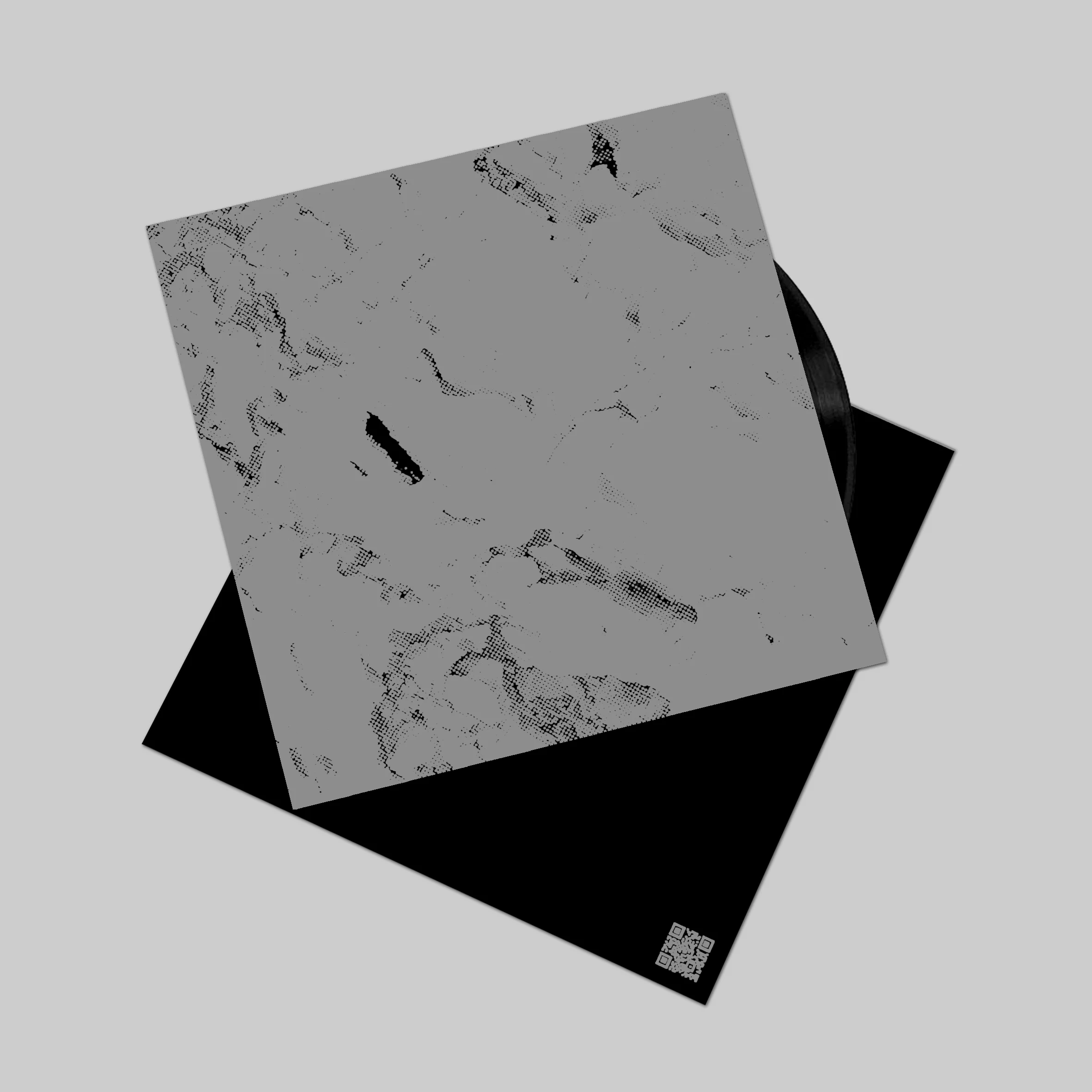 vinyl 2.jpg