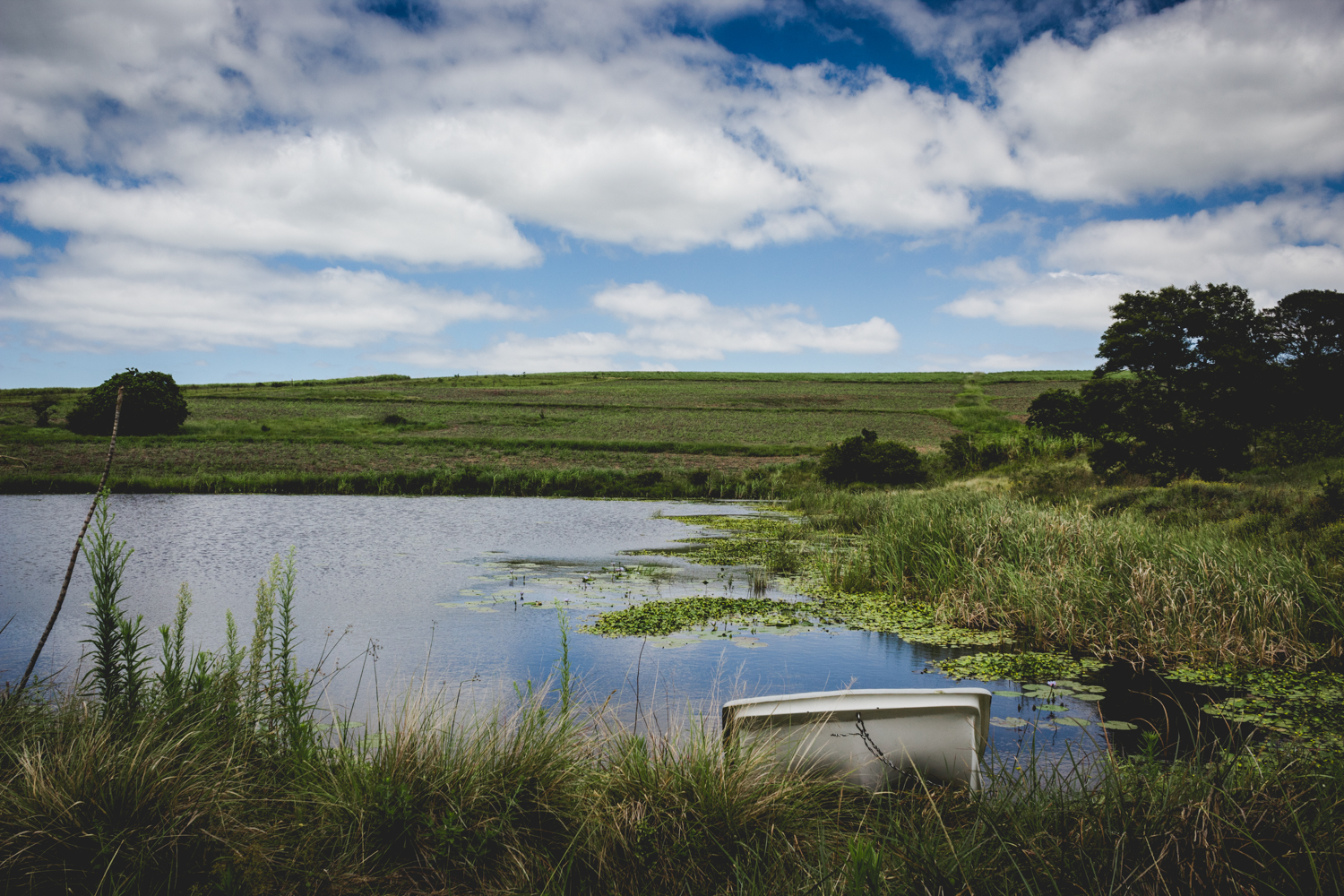 Oribi-Gorge-Guest-Farm-145.jpg