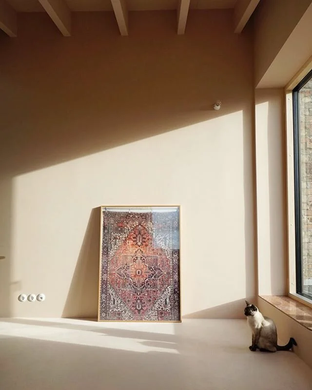 #berlin #new #project #farrowandball #settingplaster #interieur #flat