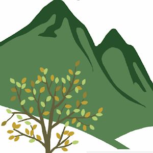 Standards Effecting Change